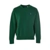 Polo Ralph Lauren Round-neck Knitwear Green